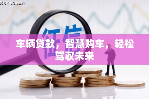 龙安车辆贷款，智慧购车，轻松驾驭未来