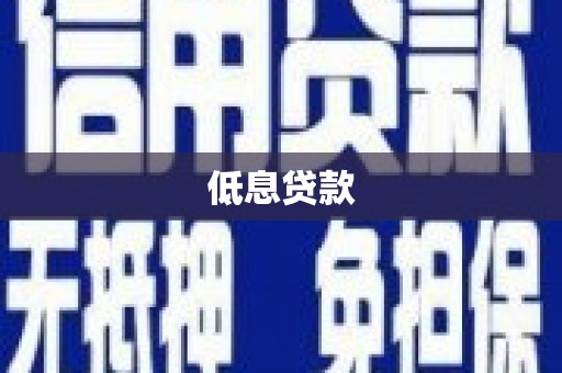 龙安低息贷款
