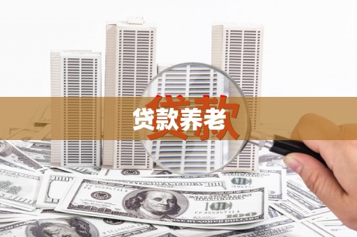 龙安贷款养老