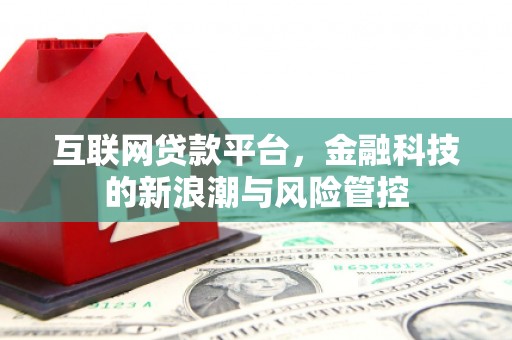 龙安互联网贷款平台，金融科技的新浪潮与风险管控