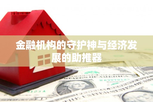 龙安金融机构的守护神与经济发展的助推器