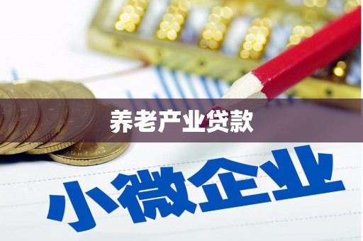 龙安养老产业贷款