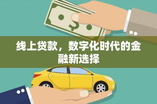 龙安线上贷款，数字化时代的金融新选择