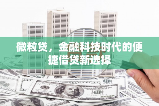 龙安微粒贷，金融科技时代的便捷借贷新选择
