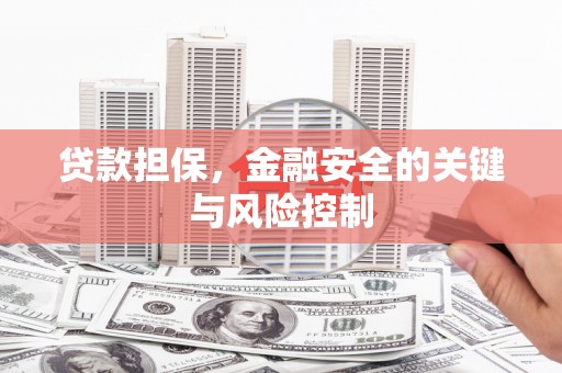 龙安贷款担保，金融安全的关键与风险控制