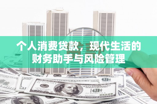 龙安个人消费贷款，现代生活的财务助手与风险管理