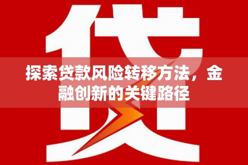 龙安探索贷款风险转移方法，金融创新的关键路径