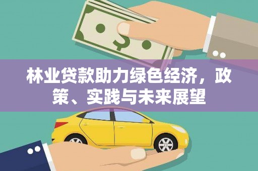龙安林业贷款助力绿色经济，政策、实践与未来展望