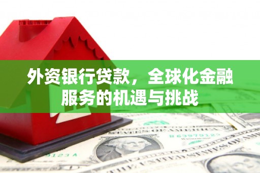 龙安外资银行贷款，全球化金融服务的机遇与挑战