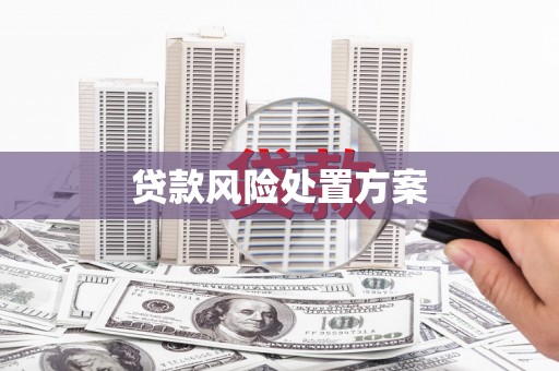 龙安贷款风险处置方案