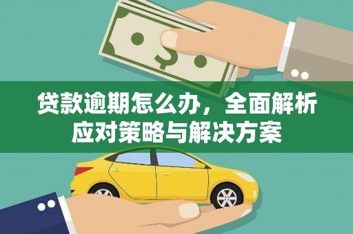 龙安贷款逾期怎么办，全面解析应对策略与解决方案