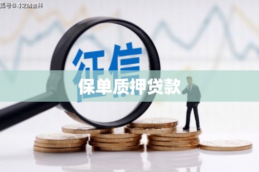 龙安保单质押贷款