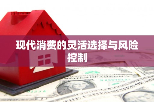 龙安现代消费的灵活选择与风险控制
