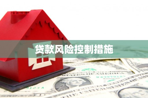 龙安贷款风险控制措施
