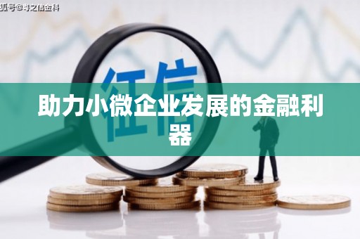 龙安助力小微企业发展的金融利器