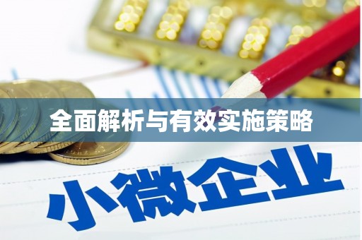 龙安全面解析与有效实施策略