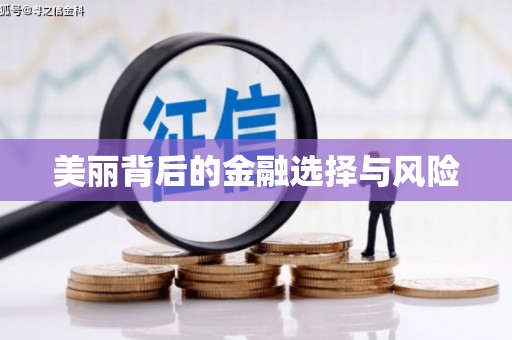 龙安美丽背后的金融选择与风险