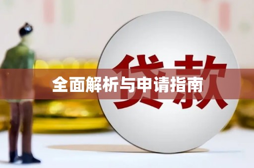 龙安全面解析与申请指南