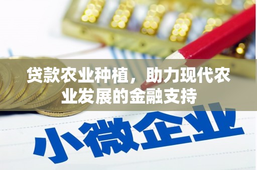 龙安贷款农业种植，助力现代农业发展的金融支持