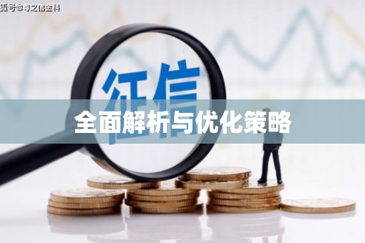 龙安全面解析与优化策略
